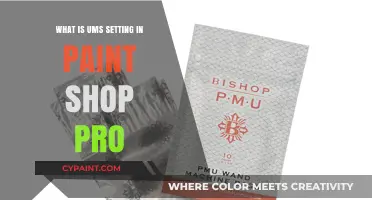 Understanding UMS Setting in PaintShop Pro: A Comprehensive Guide