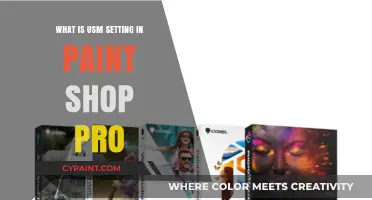 Understanding USM Setting in PaintShop Pro for Sharper Images