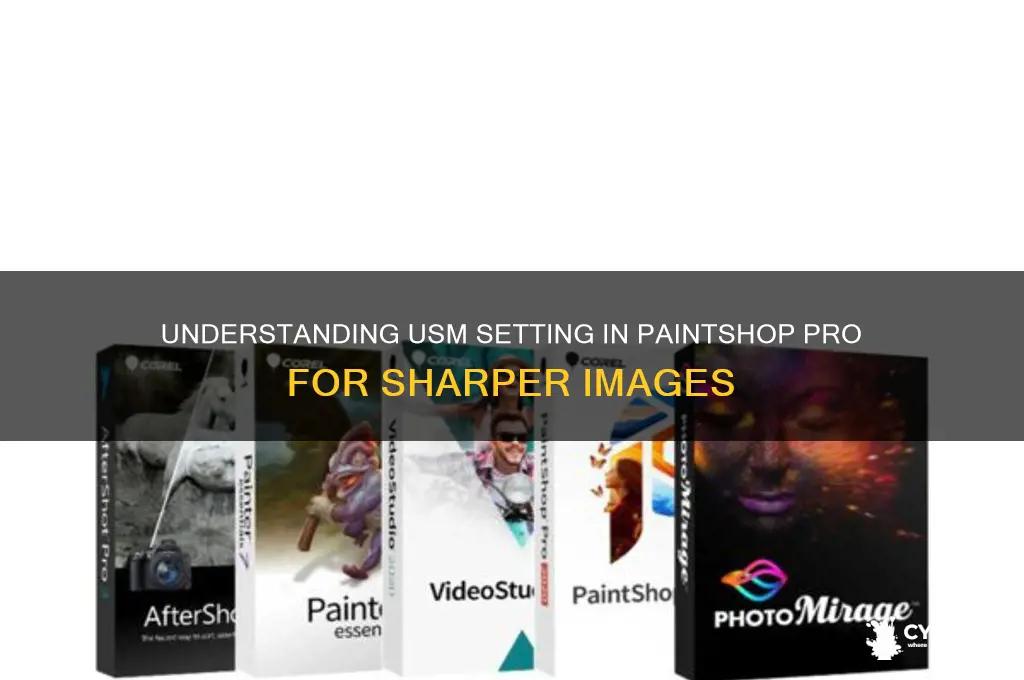 what is usm setting in paint shop pro