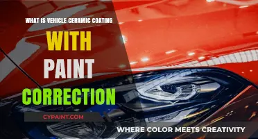 Vehicle Ceramic Coating and Paint Correction: Ultimate Car Protection Guide