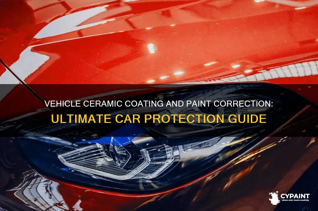 what is vehicle ceramic coating with paint correction