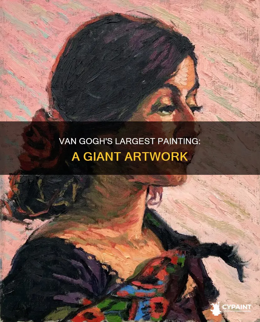 what is vincent van gogh