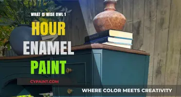 Wise Owl 1 Hour Enamel Paint: Quick-Dry, Durable, and Easy-to-Use Solution