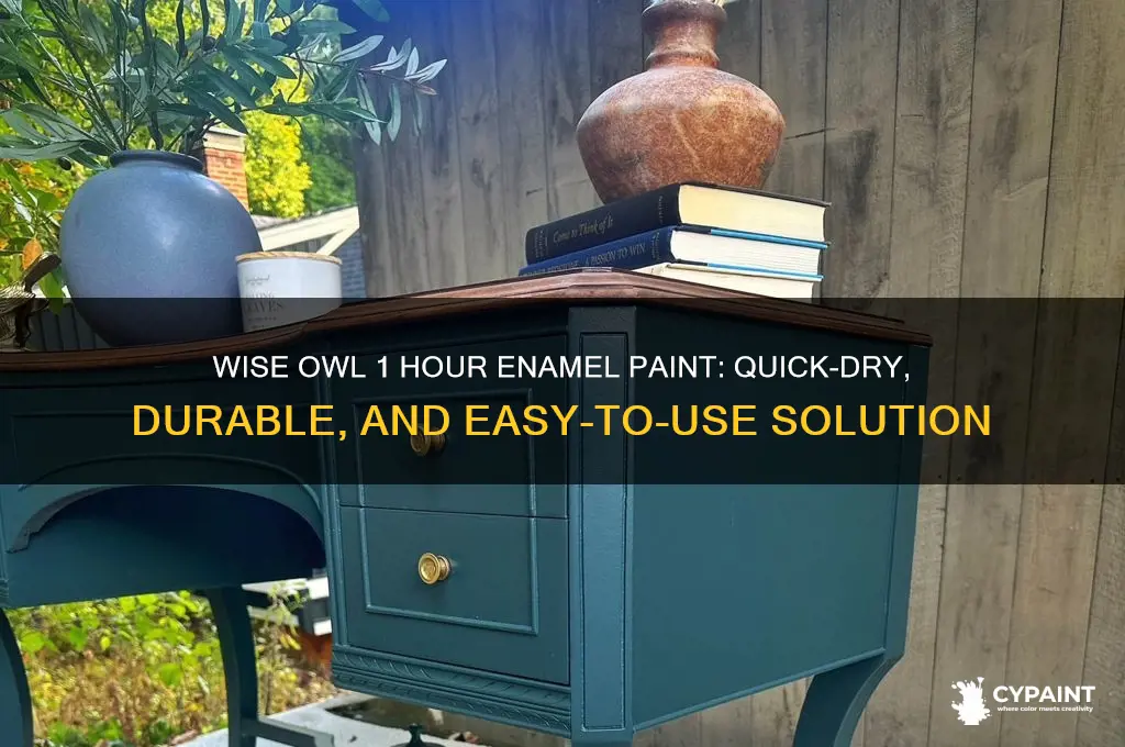 what is wise owl 1 hour enamel paint