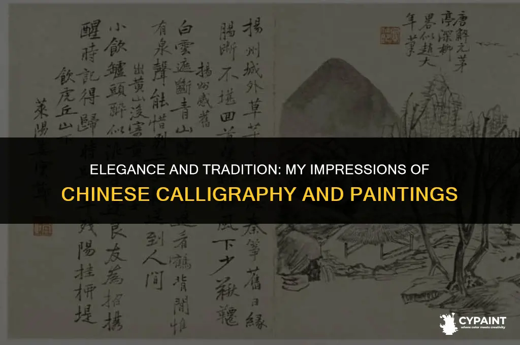 what is your general impression of chinese calligraphy and paintings