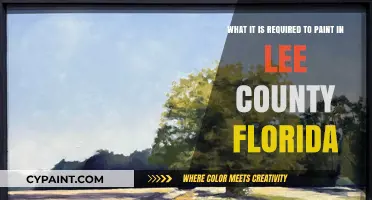 Essential Requirements for Painting in Lee County, Florida