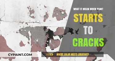 Why Paint Cracks: Causes, Prevention, and Repair Solutions Explained