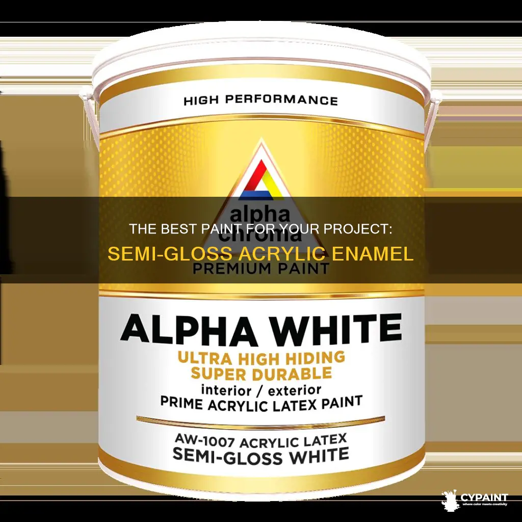 what k8nd of paint is semi gloss arcrilic enamel