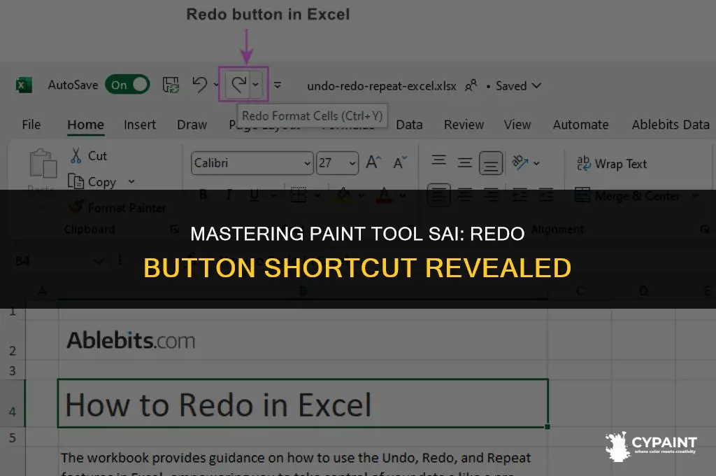 what key is the redo button on paint tool sai