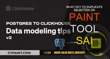 Duplicating Keys: Paint Tool Sai's Secret