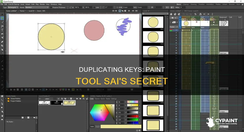 what key to duplicate selection on paint tool sai