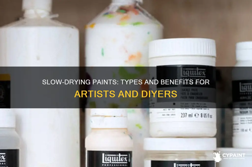 what kund of paint doesn