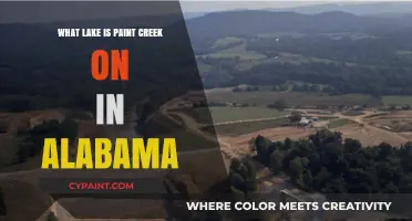 Discovering Paint Creek's Lake Location in Alabama's Scenic Landscape