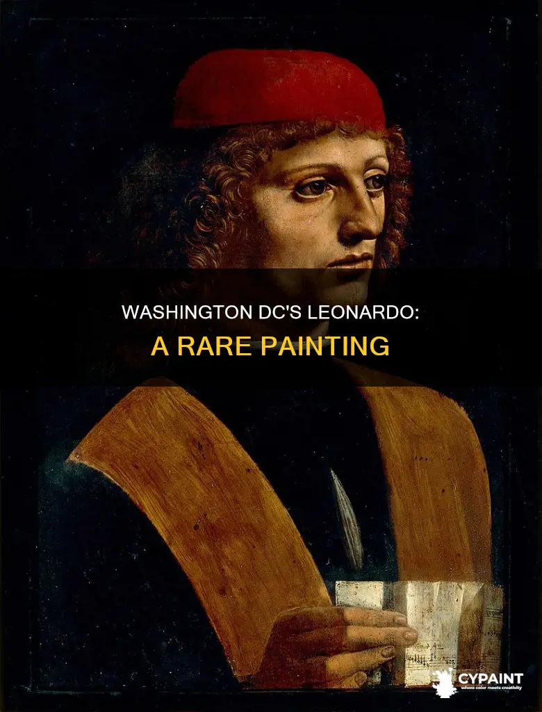 what leonardo da vinci painting is in washington dc