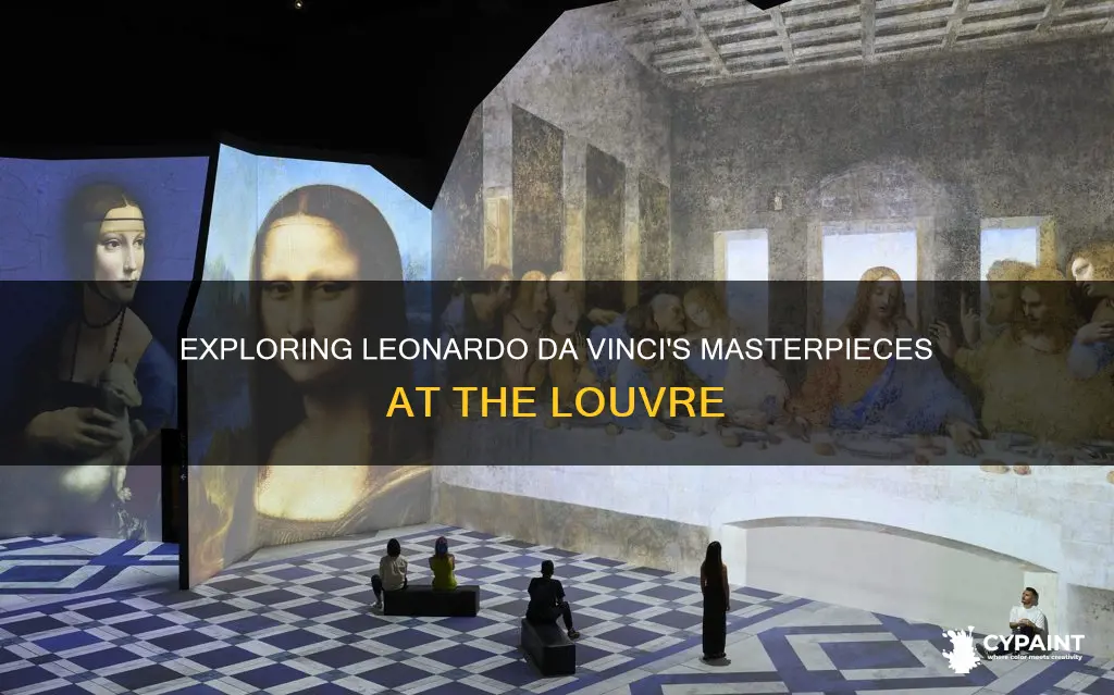 what leonardo da vinci paintings are in the louvre