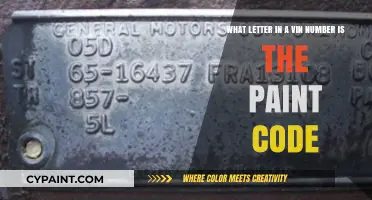 Decoding Your Car's VIN: Unveiling the Mystery of the Paint Code Letter
