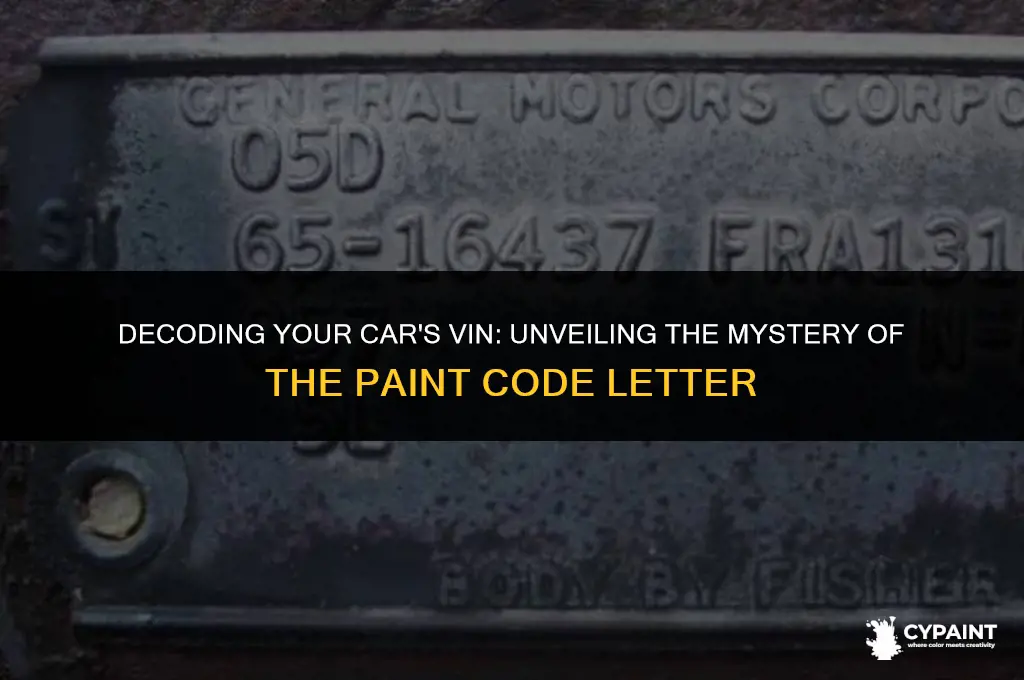 what letter in a vin number is the paint code