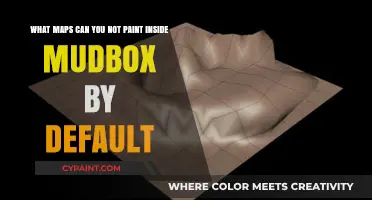 Unleashing Creativity: Mudbox's Default Map Limitations Explored