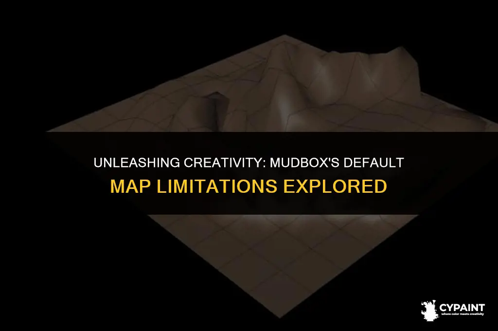 what maps can you not paint inside mudbox by default