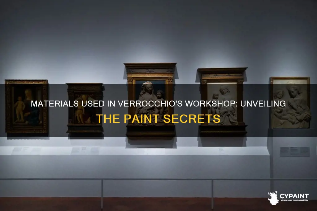 what material for the paint verocchio