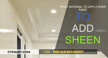 Enhancing Paint Jobs: Adding Sheen to Your Walls