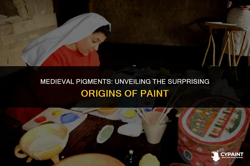 what material was paint made from in the medieaval world