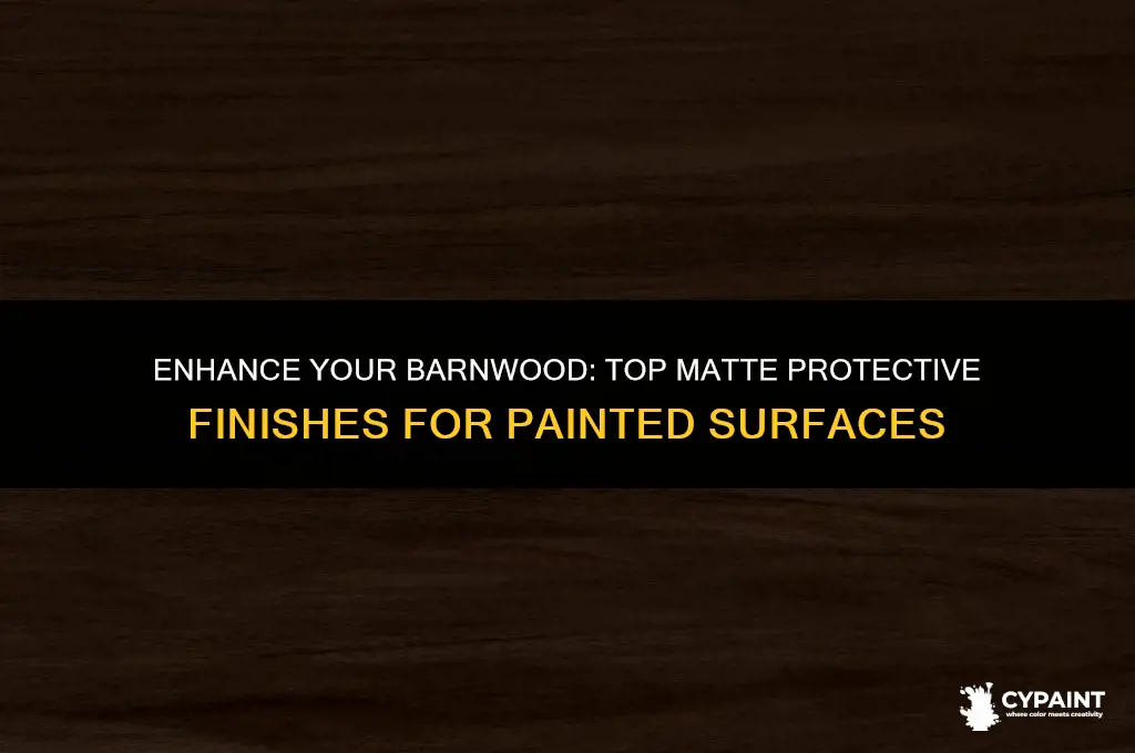 what matt protective finish can i put over painted barnwood