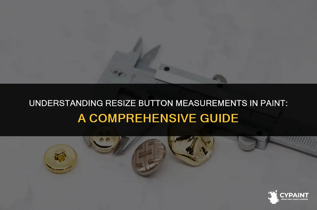 what measurements are the resize button in paint going by