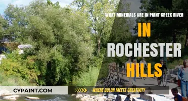 Unveiling the Mineral Riches of Paint Creek River in Rochester Hills