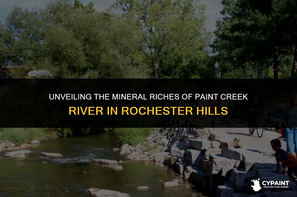 what minerials are in paint creek river in rochester hills