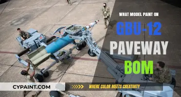 Modeling the GBU-12 Paveway Bomb: Choosing the Right Paint