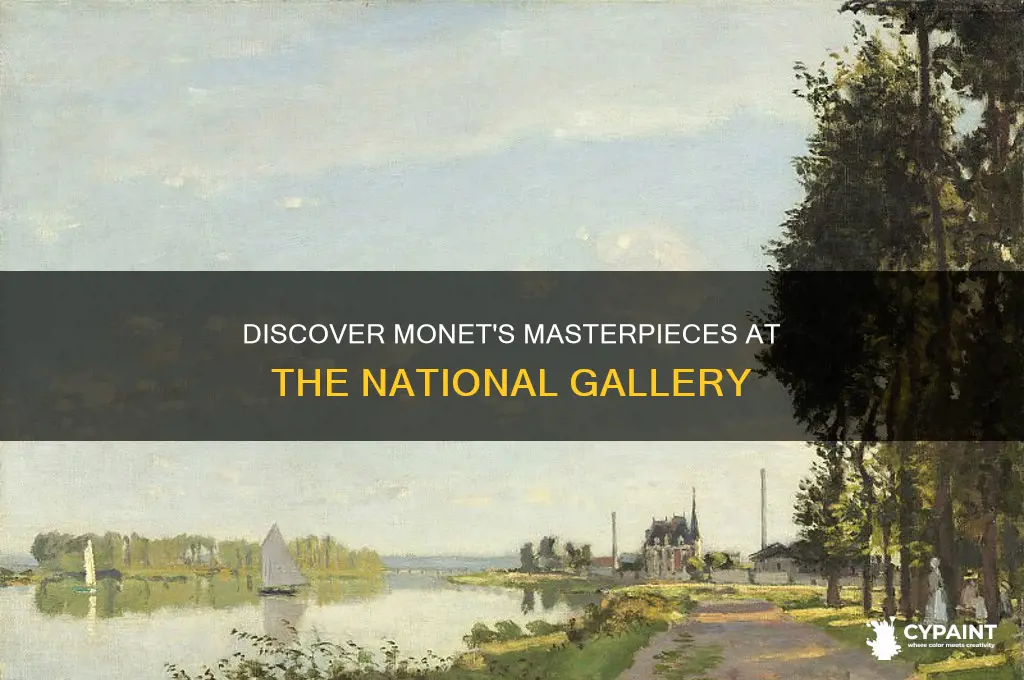what monet paintings are in the national gallery