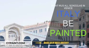The Colorful Gondolas of Venice: A Mandatory Paint Job