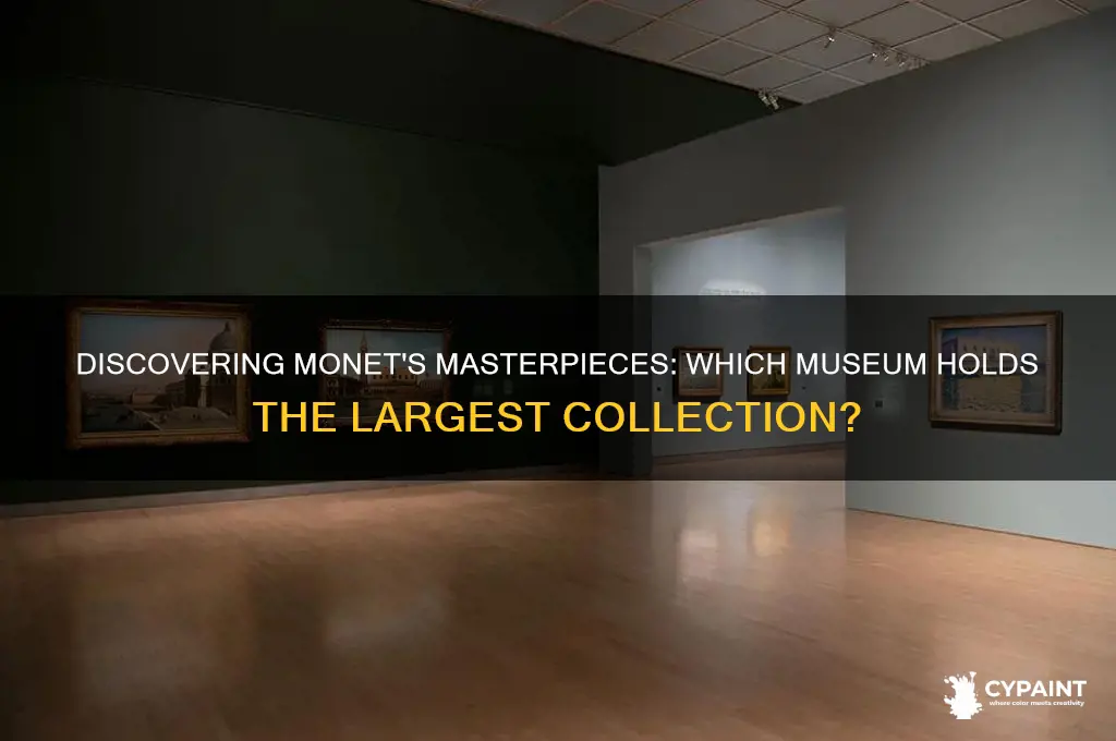 what museam has the most paintings by monet