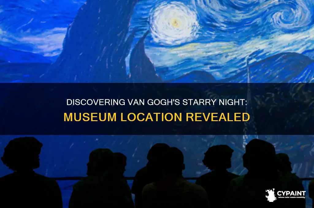 what museaum is the stary night painting located