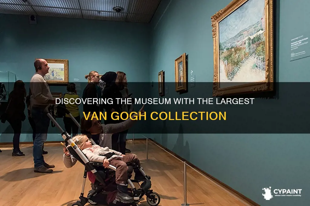 What Museum Has The Most Van Gogh Paintings