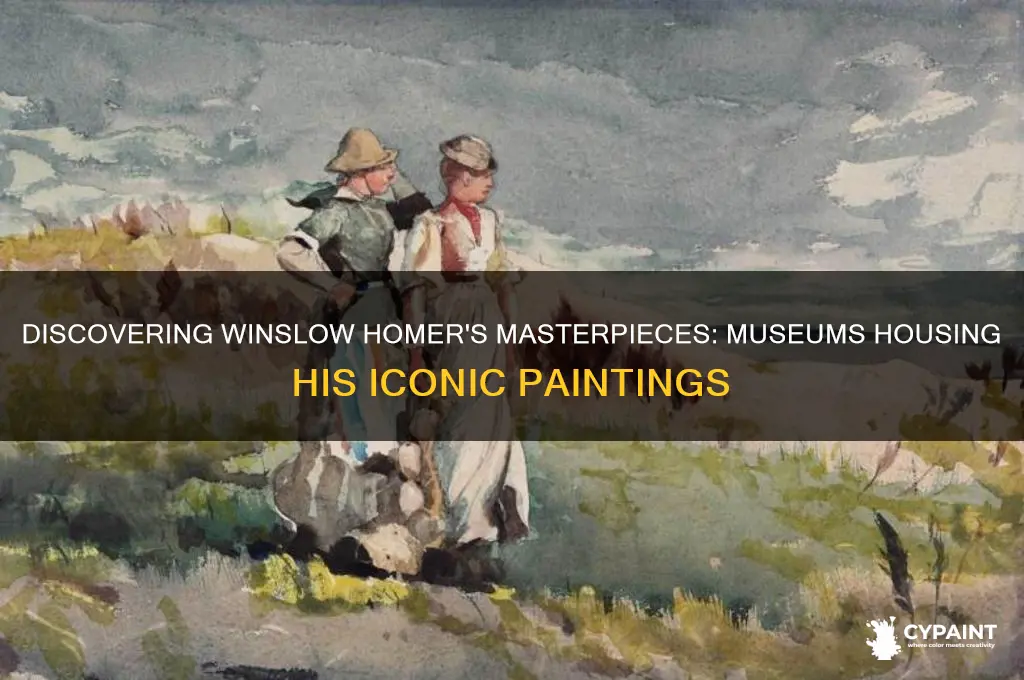 what museum holds some of winslow homers paintings
