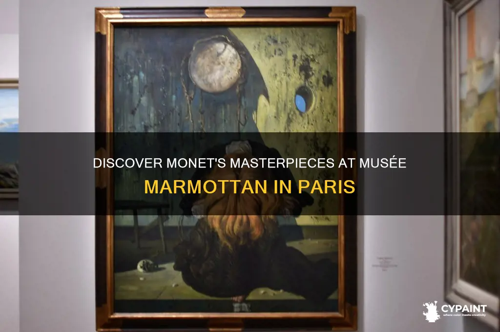 what museum in paris has many monet paintings