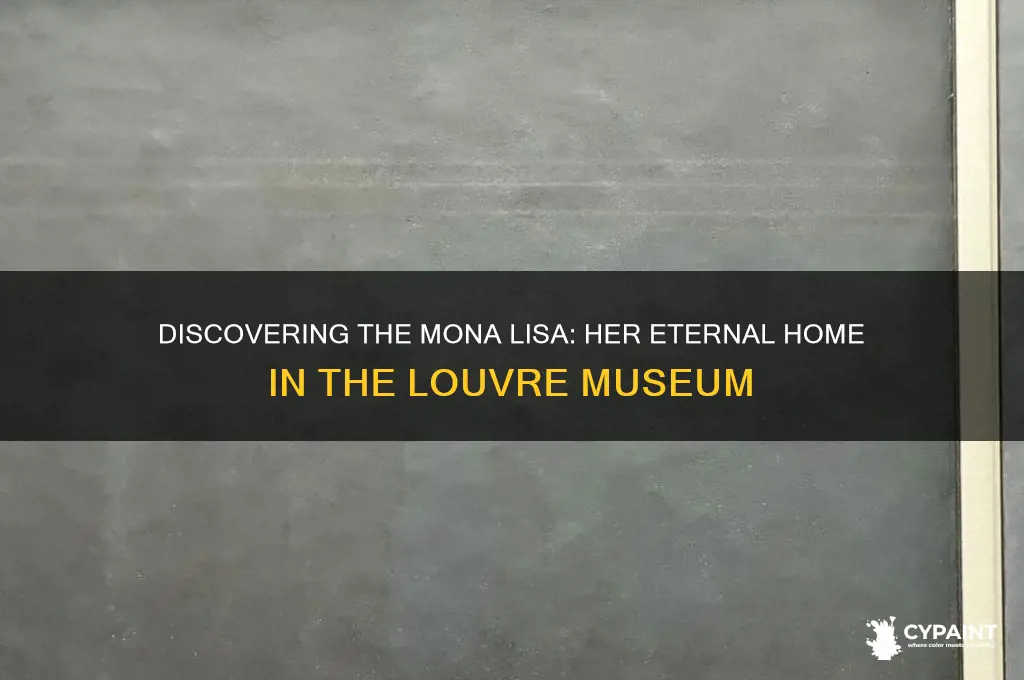 what museum is the mona lisa painting in