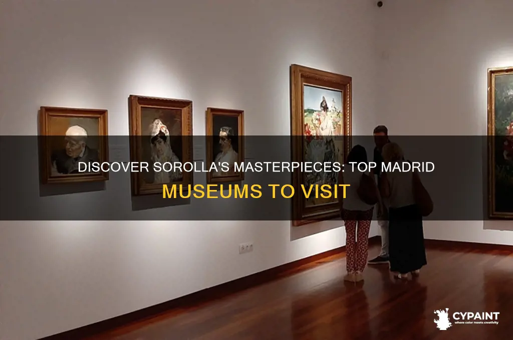 what museums in madrid have paintings by sorrello