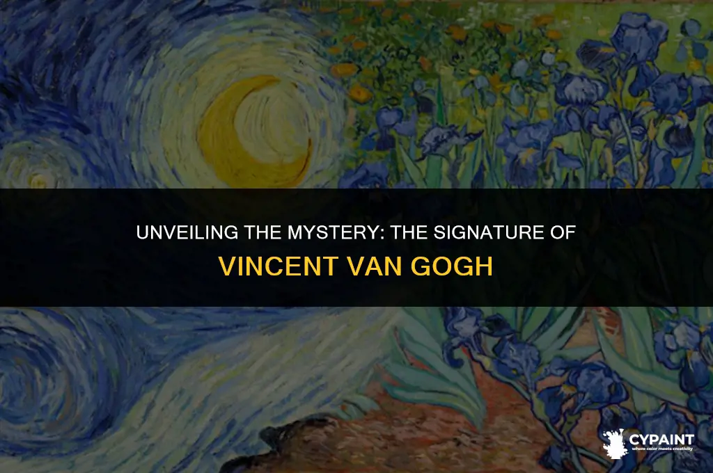 what name did vincent van gogh sign to his paintings
