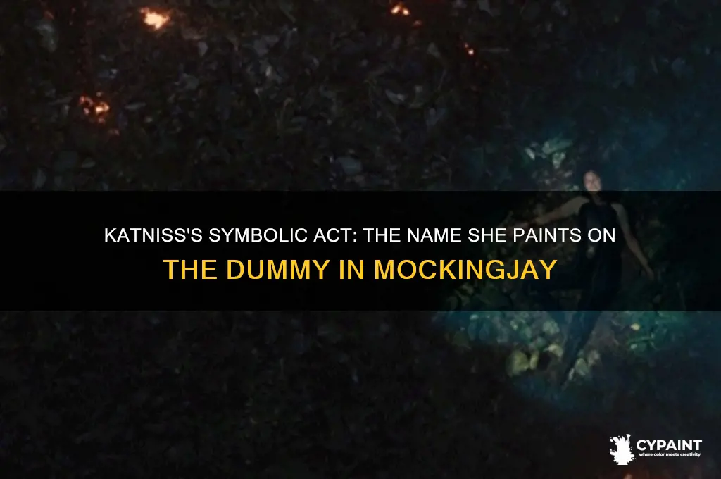 what name does katniss paint on the dummy