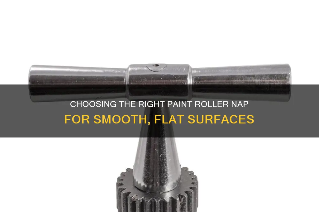what nap of paint roller for flat surfaces