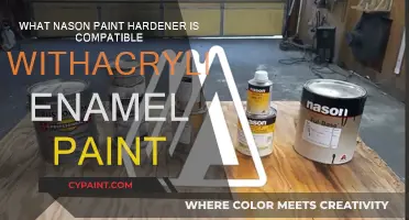 Best Nason Hardener for Acrylic Enamel Paint Jobs