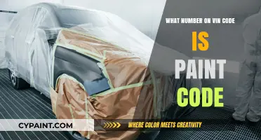 Where to Find Your Car's Paint Code on the VIN