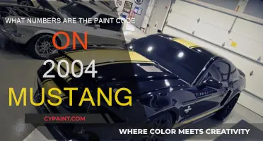 Mustang Paint Code Numbers for 2004 Models