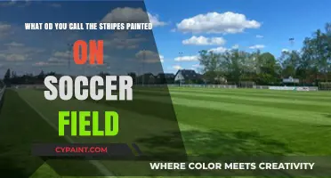Understanding the Markings: What Are the Stripes on a Soccer Field Called?