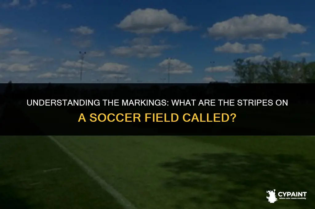 what od you call the stripes painted on soccer field