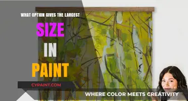 Maximize Your Canvas: Discover Paint's Largest Size Option