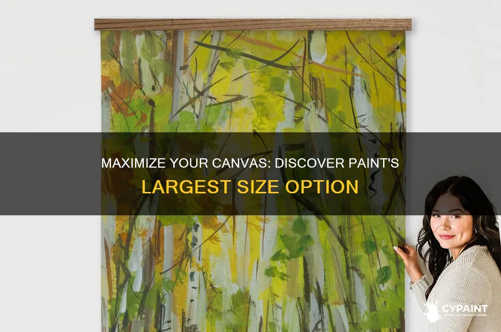 what option gives the largest size in paint